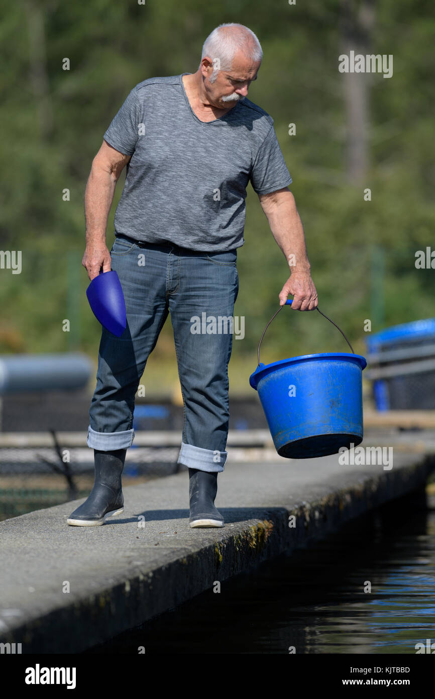 feeding fish in river Stock Photo - Alamy