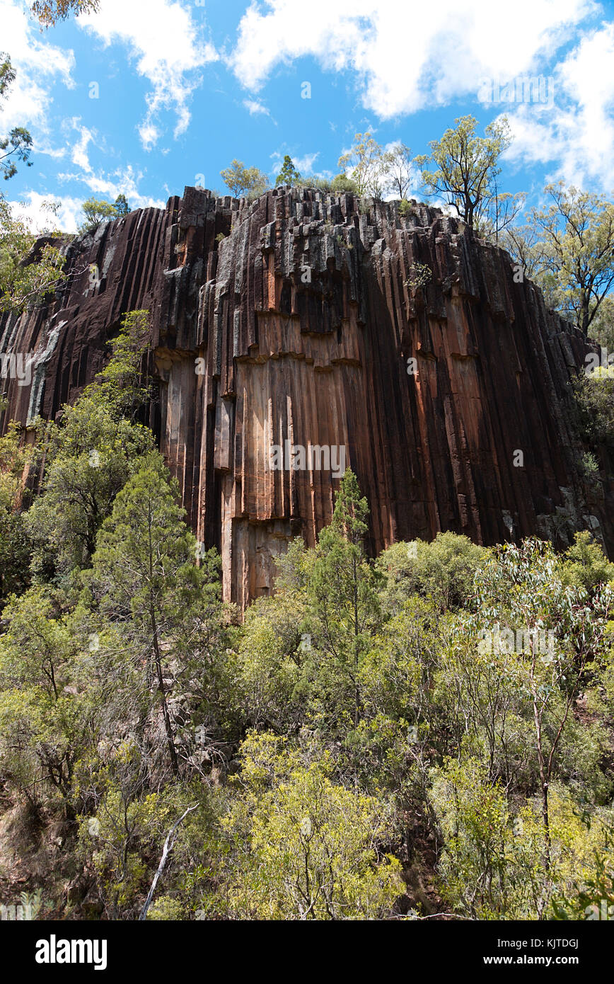 Sawn Rocks is a 40 metre basalt cliff face featuring perpendicular-octagonal shaped rocks, resembling a giant series of organ pipes. Stock Photo