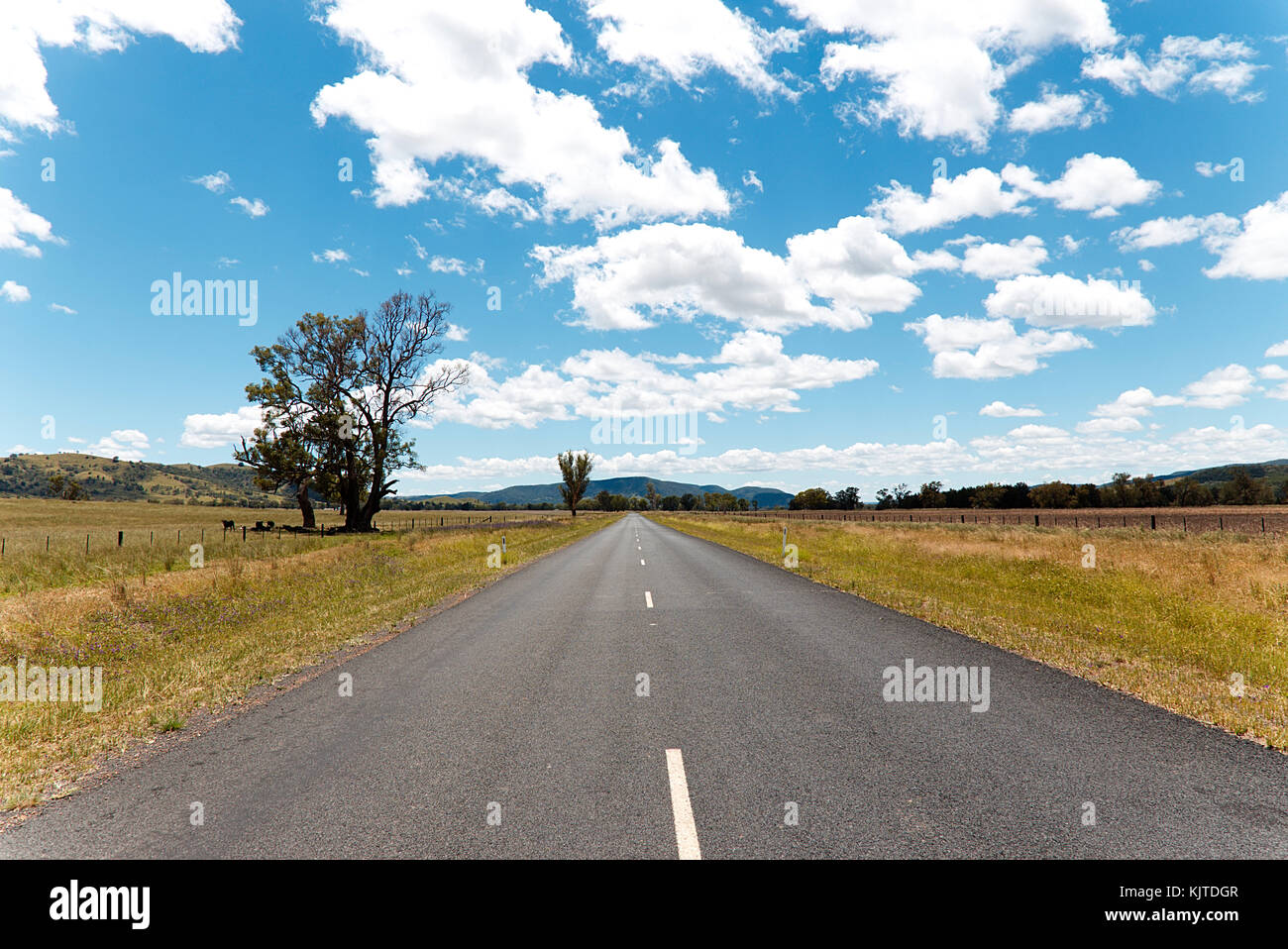 Sealed regional highway through agricultural lands - cattle - Northern New South Wales Australia Stock Photo