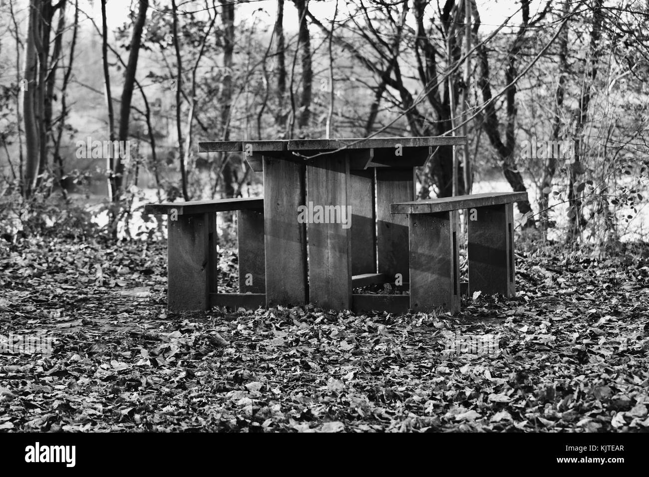 Family picnic Black and White Stock Photos & Images Alamy