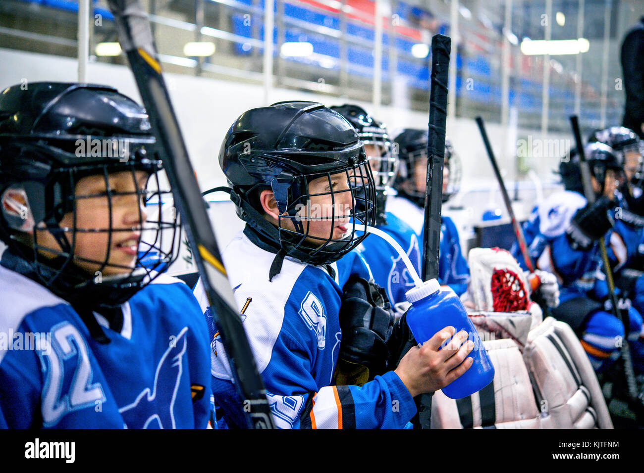 active men's hockey Stock Photo Alamy