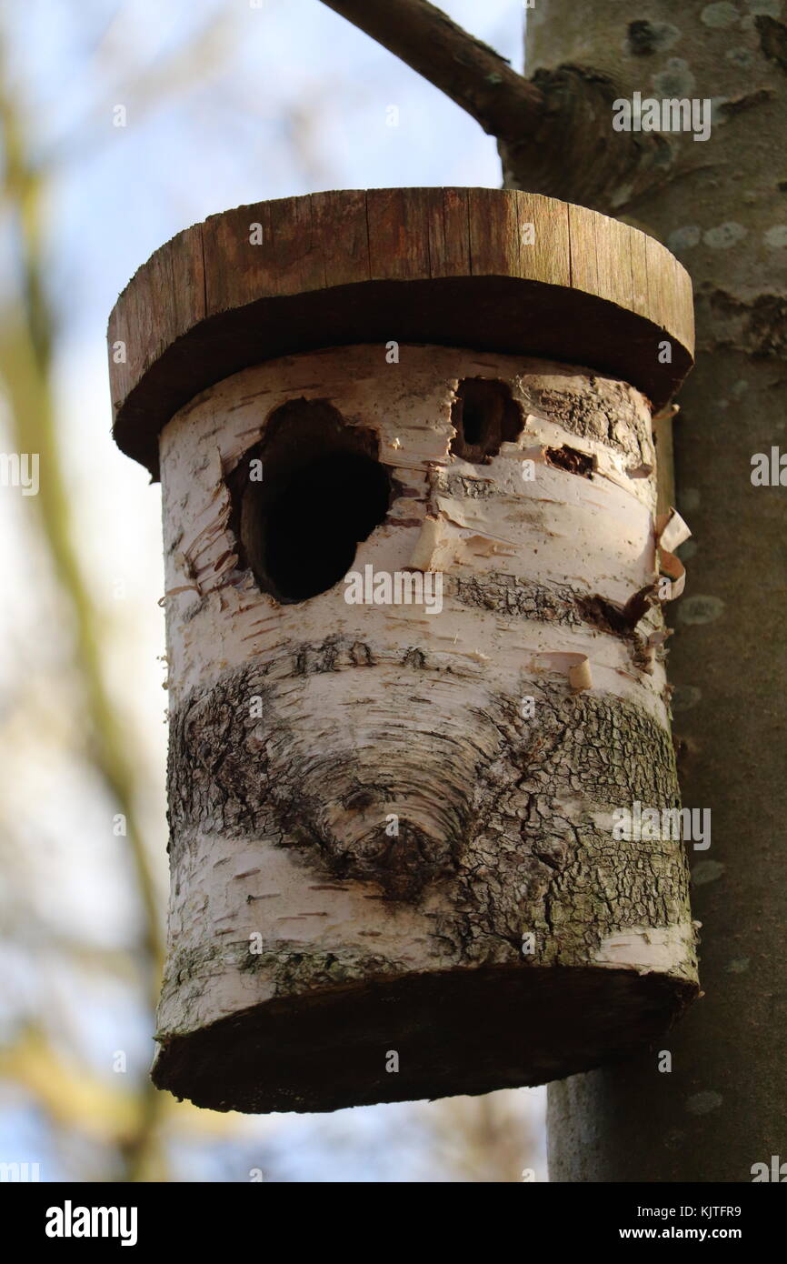 Tree Trunk Bird Box Rustic House A Home Stock Photo 166496381 Alamy
