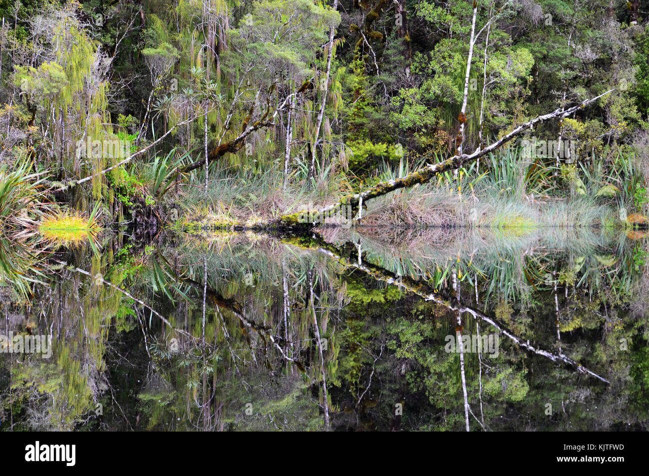 Mirror lake in New Zealand Stock Photo