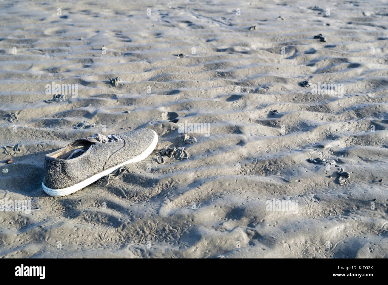 lost shoe in the Wadden Sea Stock Photo
