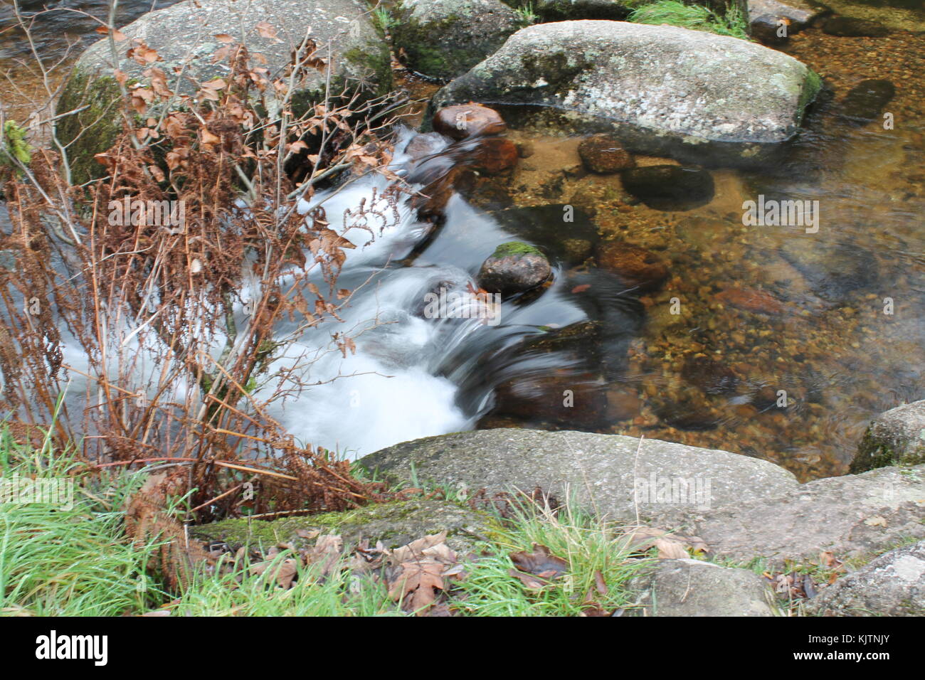 Autumn waterfall scenes on Dartmoor. Stock Photo