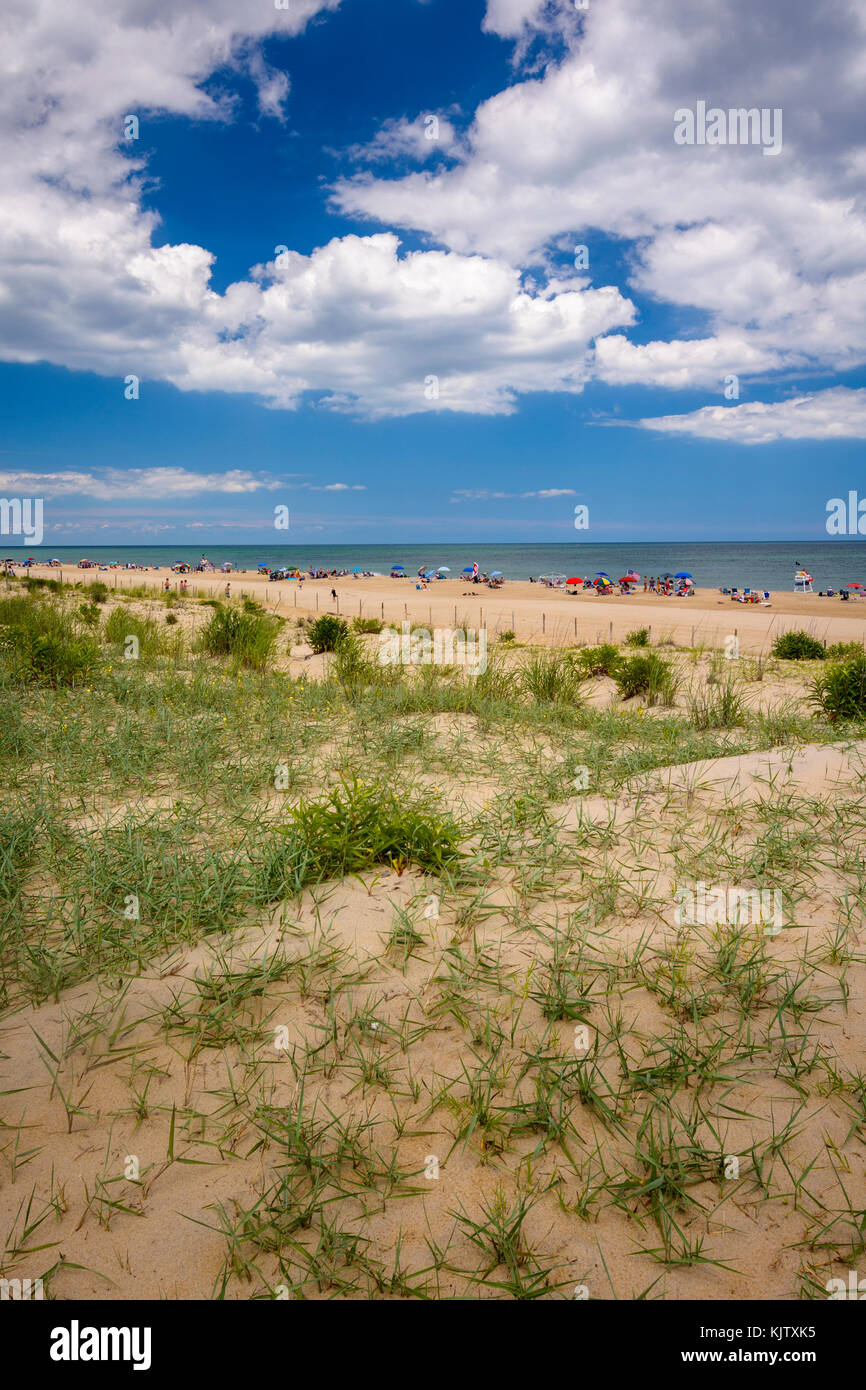 Sand dunes and beach at Fenwick Island, Delaware, USA Stock Photo Alamy