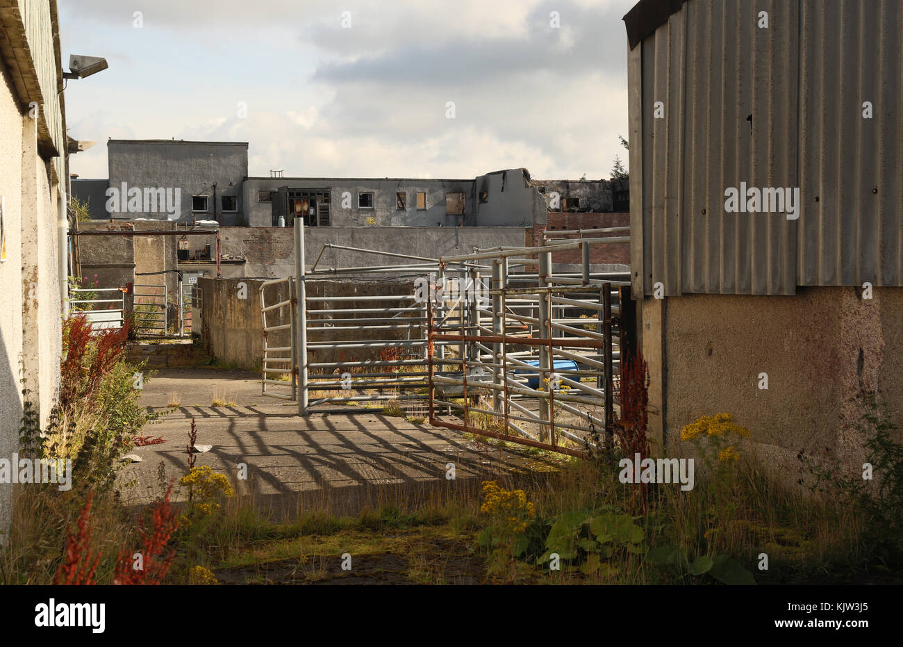 Abandoned building. Glasgow Stock Photo Alamy