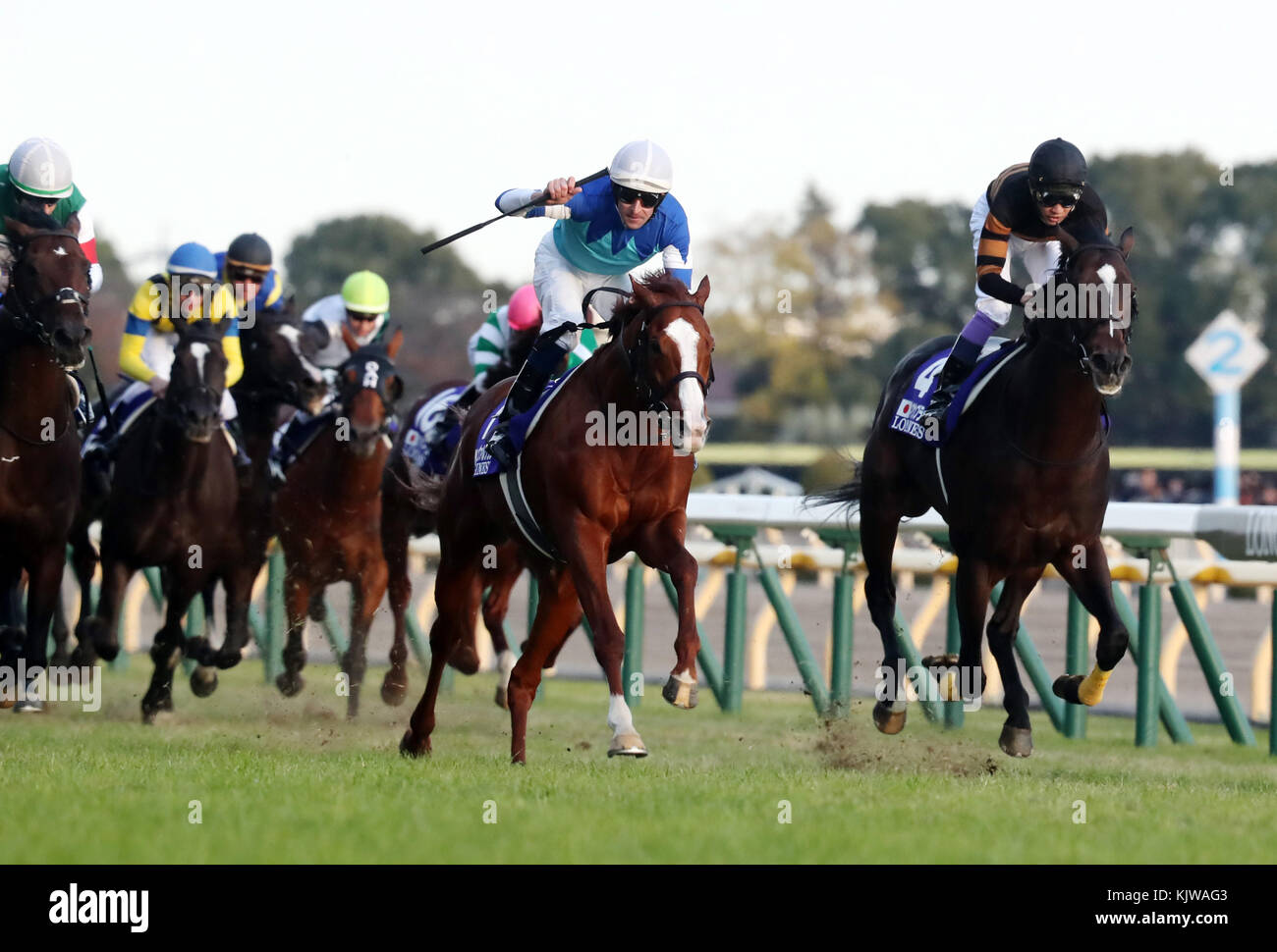 Tokyo, Japan. 26th Nov, 2017. Australian jockey Hugh Bowman riding Cheval Grand (C) wins the Japan Cup horse race at the Tokyo Racecourse in Tokyo on Sunday, November 26, 2017, while Rey de Oro (L) finished the second and Kitasan Black (R) finished the third. Cheval Grand's owner is former Seattle Mariners pitcher Kazuhiro Sasaki. Credit: Yoshio Tsunoda/AFLO/Alamy Live News Stock Photo