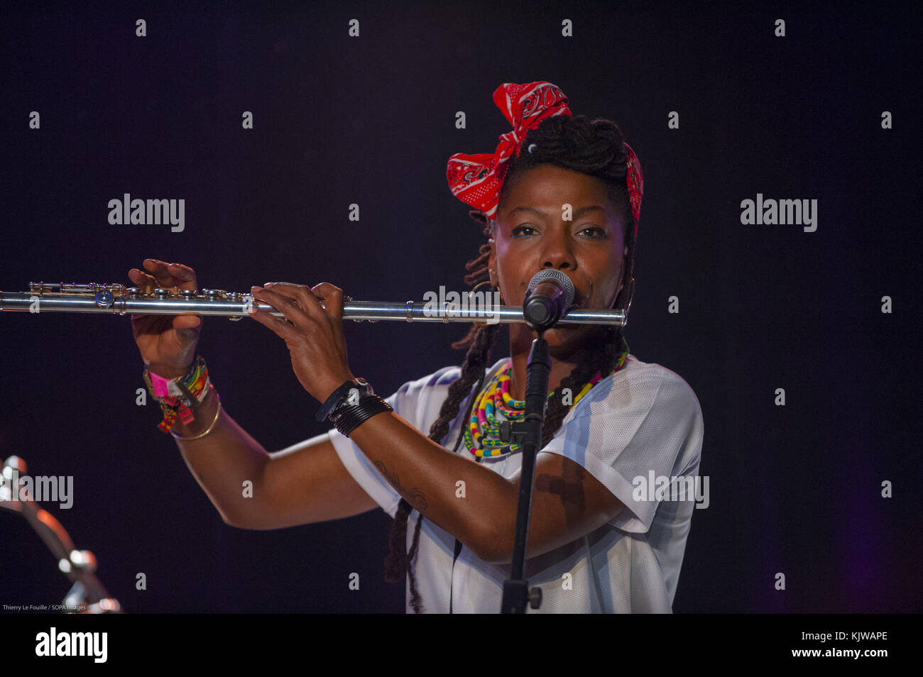 Boulogne Billancourt, France. 25th Nov, 2017. La Dame Blanche (Yaite