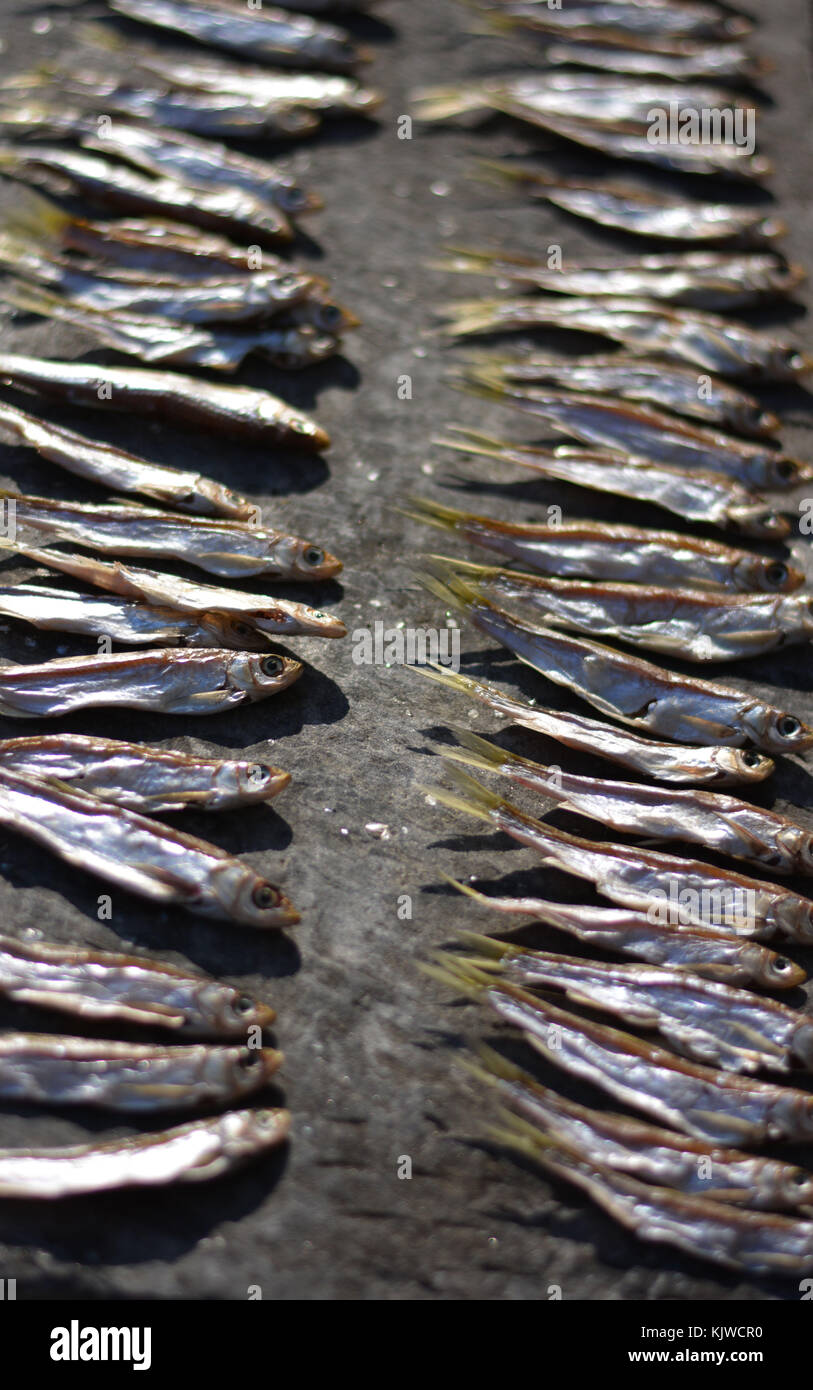 November 27, 2017 - Nanjin, Nanjin, China - Nanjing,CHINA-2017:(EDITORIAL USE ONLY. CHINA OUT) The salted fish on sale at Gaochun Old Street in Nanjing, east China's Jiangsu Province. Chinese Salted fish is fish cured with dry salt and thus preserved for later eating. Drying or salting, either with dry salt or with brine, was the only widely available method of preserving fish until the 19th century. (Credit Image: © SIPA Asia via ZUMA Wire) Stock Photo