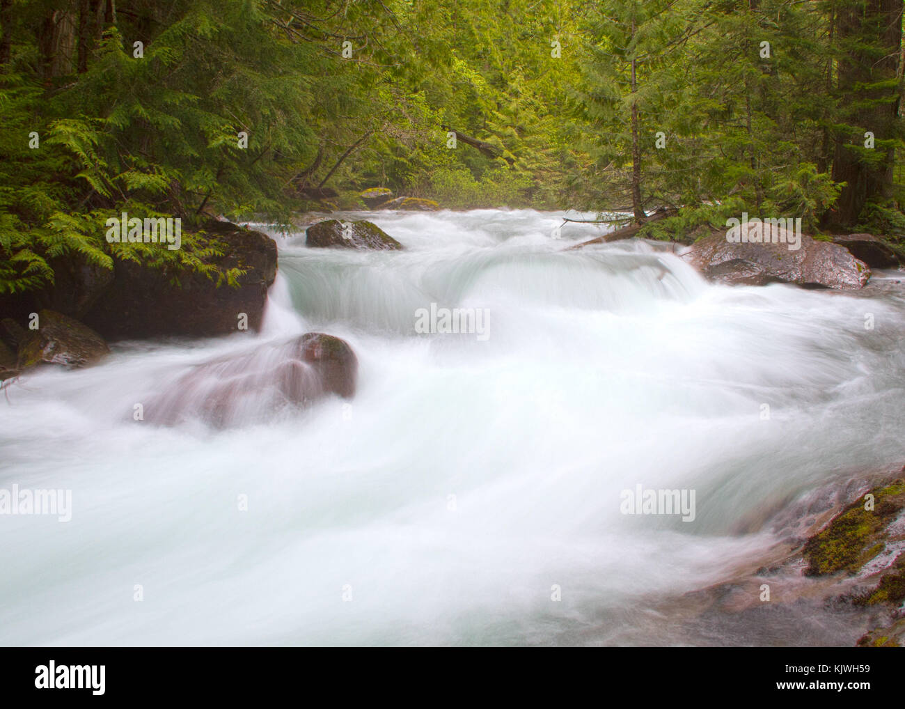 Avalanche Creek flowing in Glacier National Park, Montana, USA Stock Photo