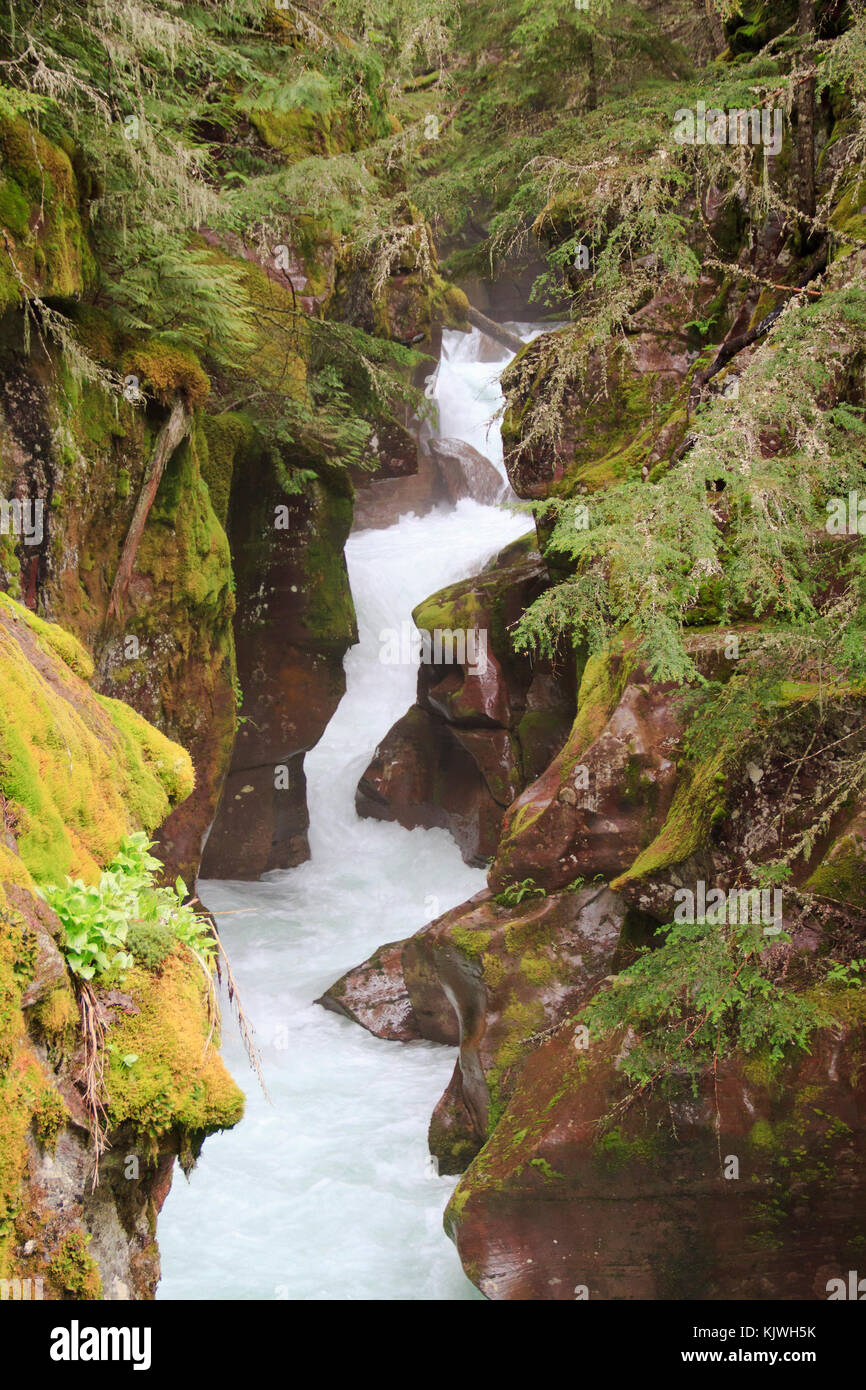 Glacial melt in Avalanche Gorge in the spring (Glacier National Park, Montana, USA) Stock Photo