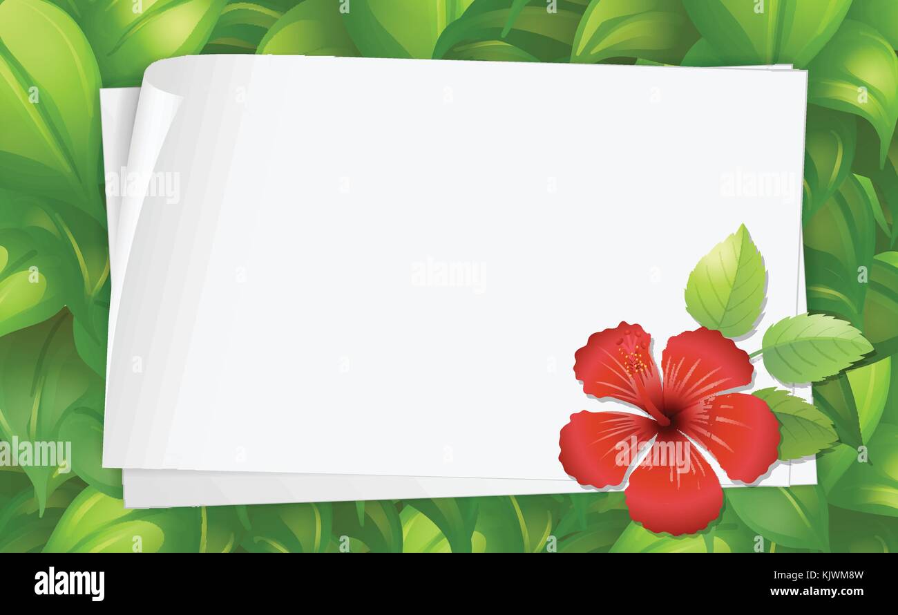 Border template with hibiscus flower illustration Stock Vector Image ...