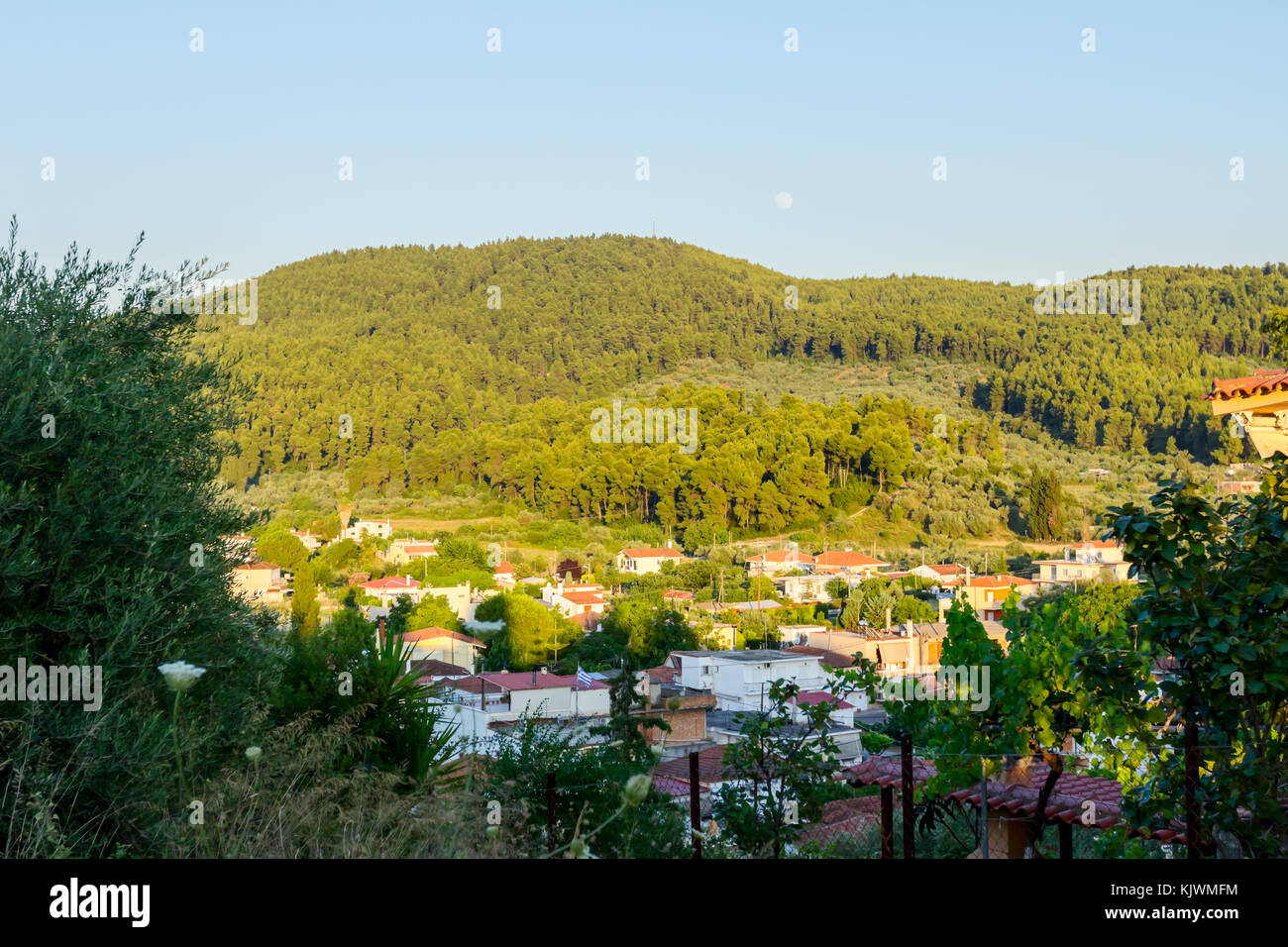 Tree Settlement Settlement is surrounded with pine tree forest at hilly landscape Stock ...