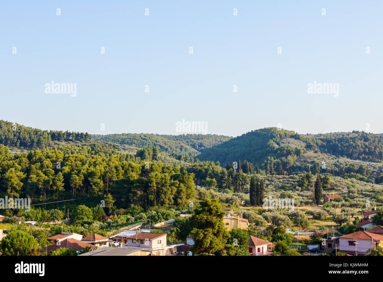 Tree Settlement Settlement is surrounded with pine tree forest at hilly landscape Stock ...