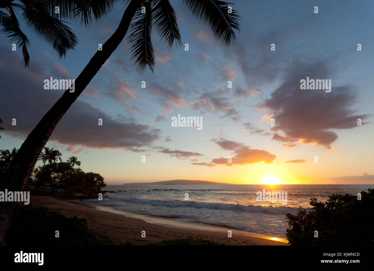 Sunset hawaii palm tree hi-res stock photography and images - Alamy