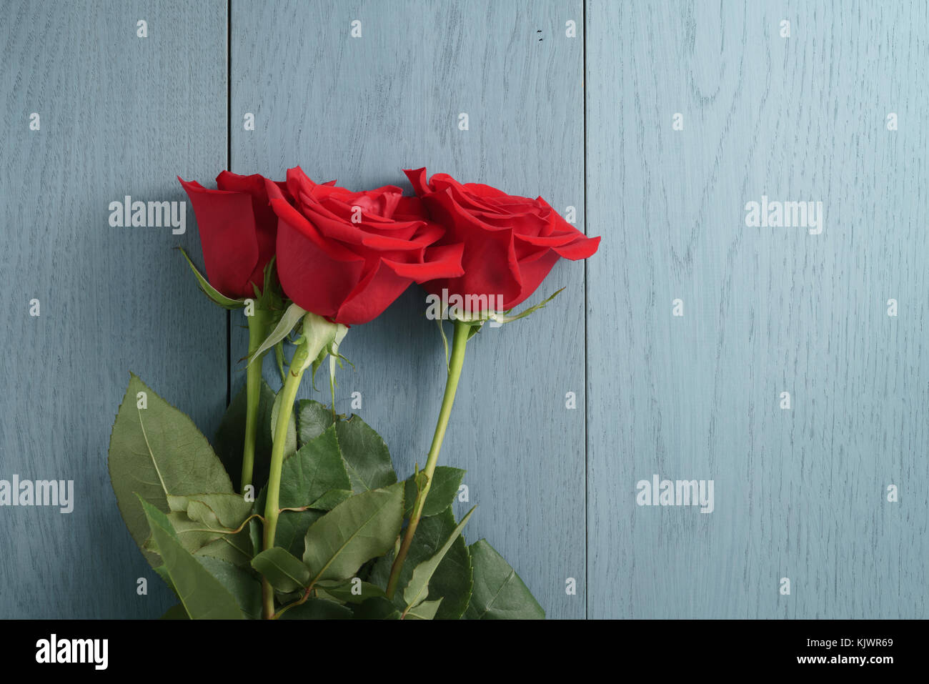 Three Red Roses On Blue Wood Table With Copy Space Stock Photo Alamy