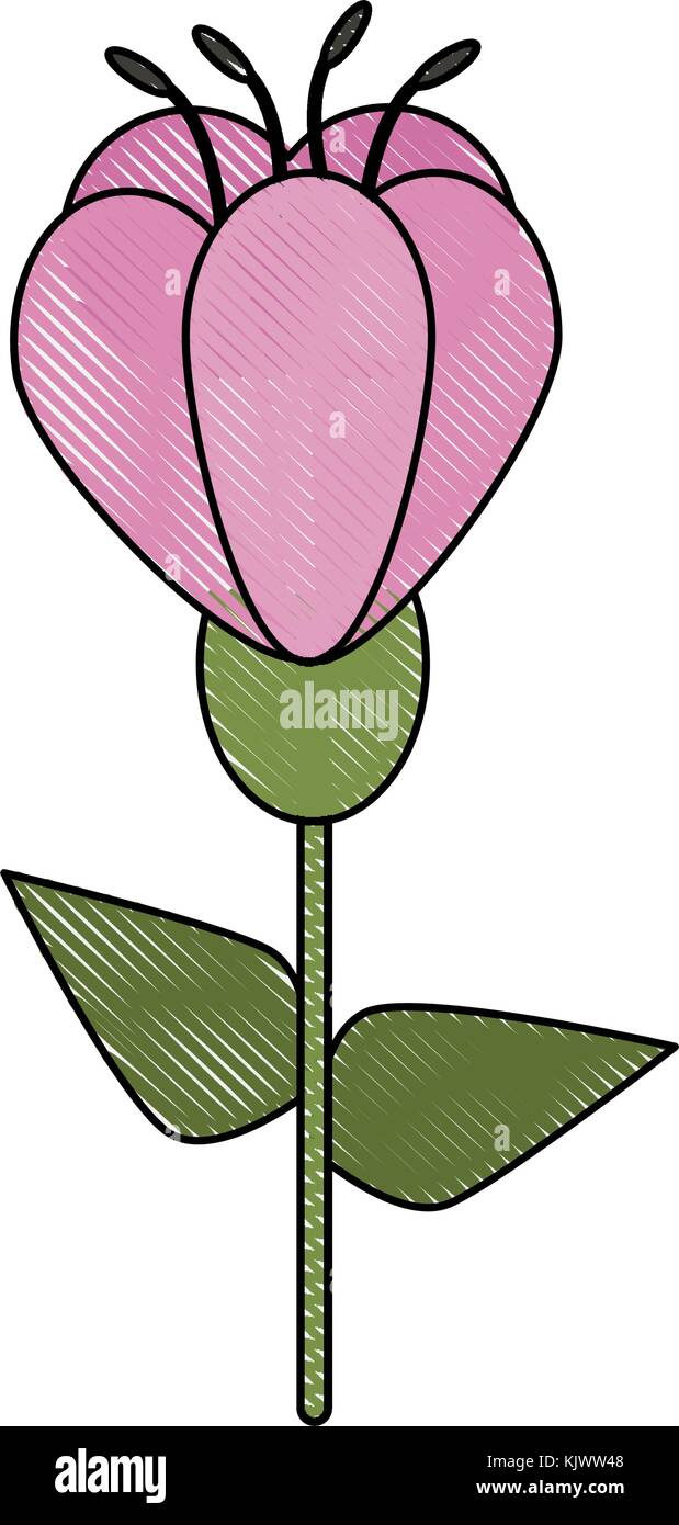 Beautiful flower bouquet Stock Vector Image & Art - Alamy