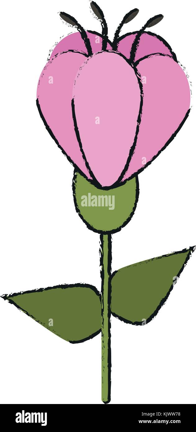 Beautiful flower bouquet Stock Vector Image & Art - Alamy
