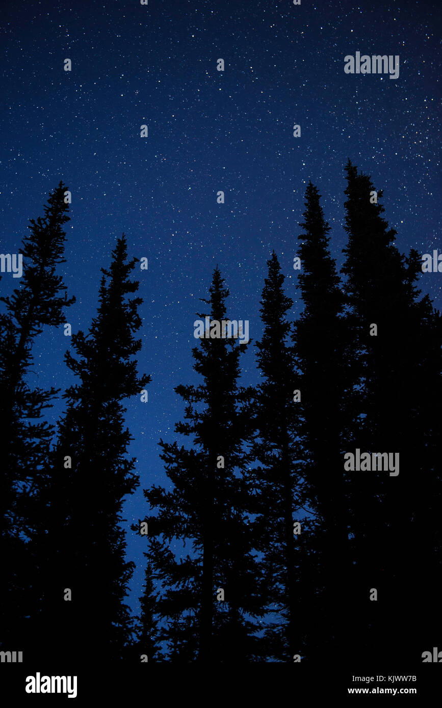 Starry Sky, Rocky Mountains, Colorado, USA by Bruce Montagne/Dembinsky Photo Assoc Stock Photo