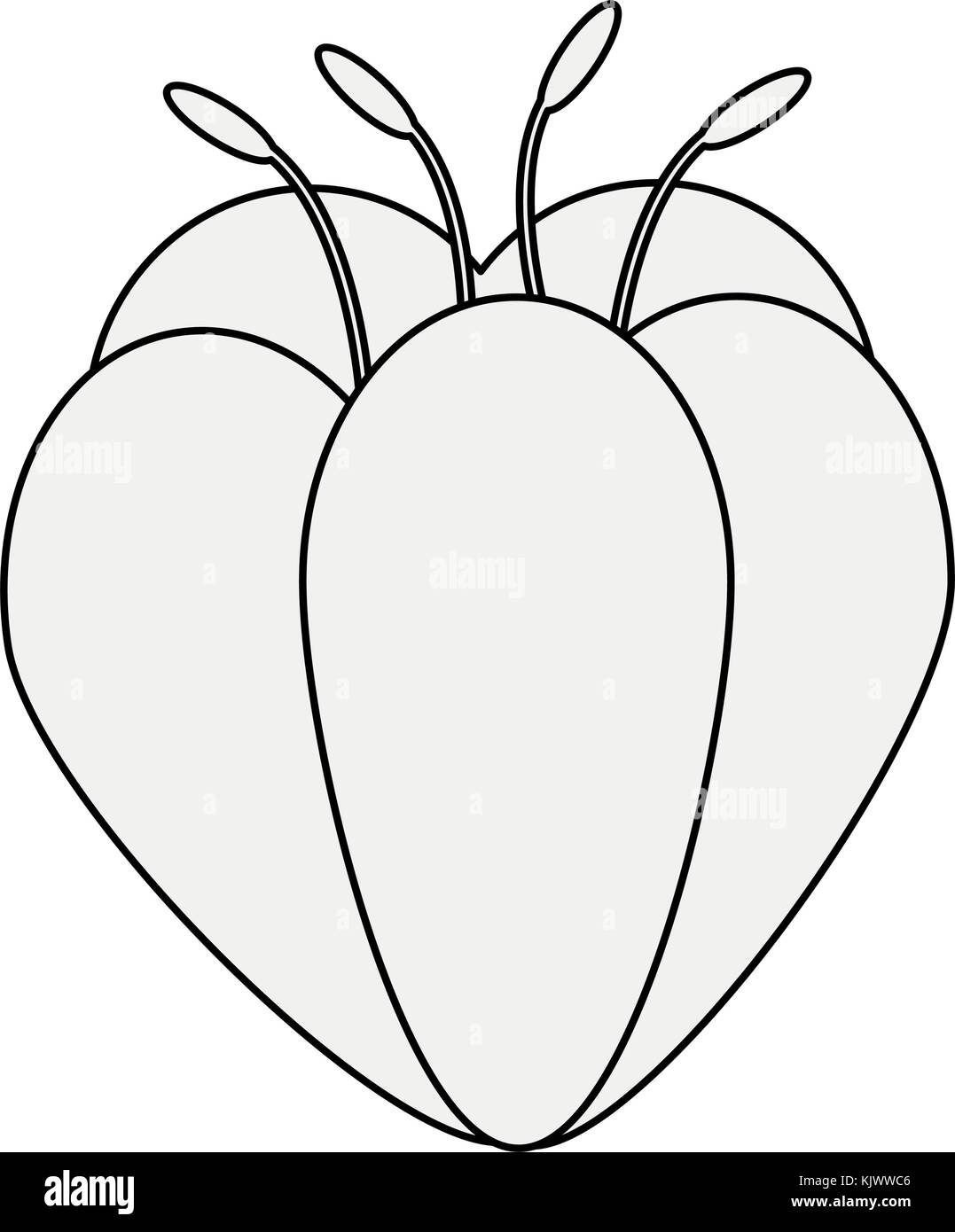 Beautiful flower symbol Stock Vector Image & Art Alamy