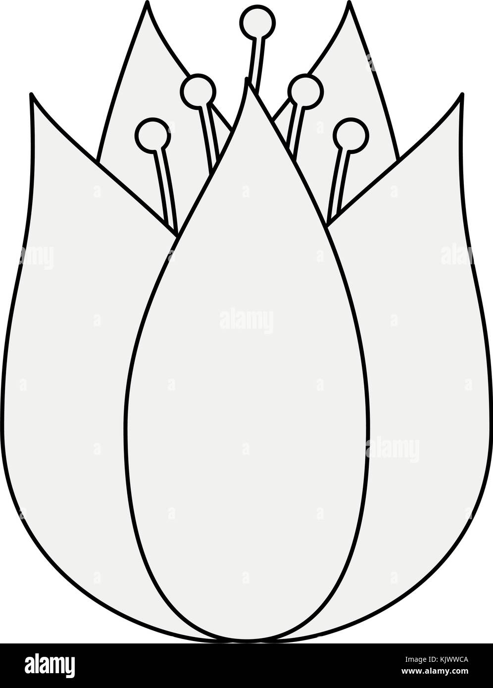 Beautiful flower symbol Stock Vector Image & Art Alamy