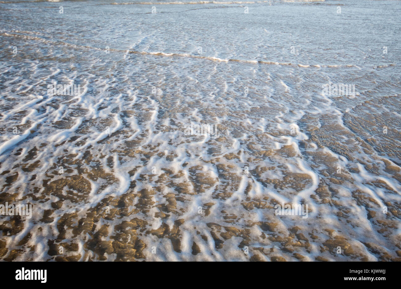 Foam on the beach Stock Photo Alamy