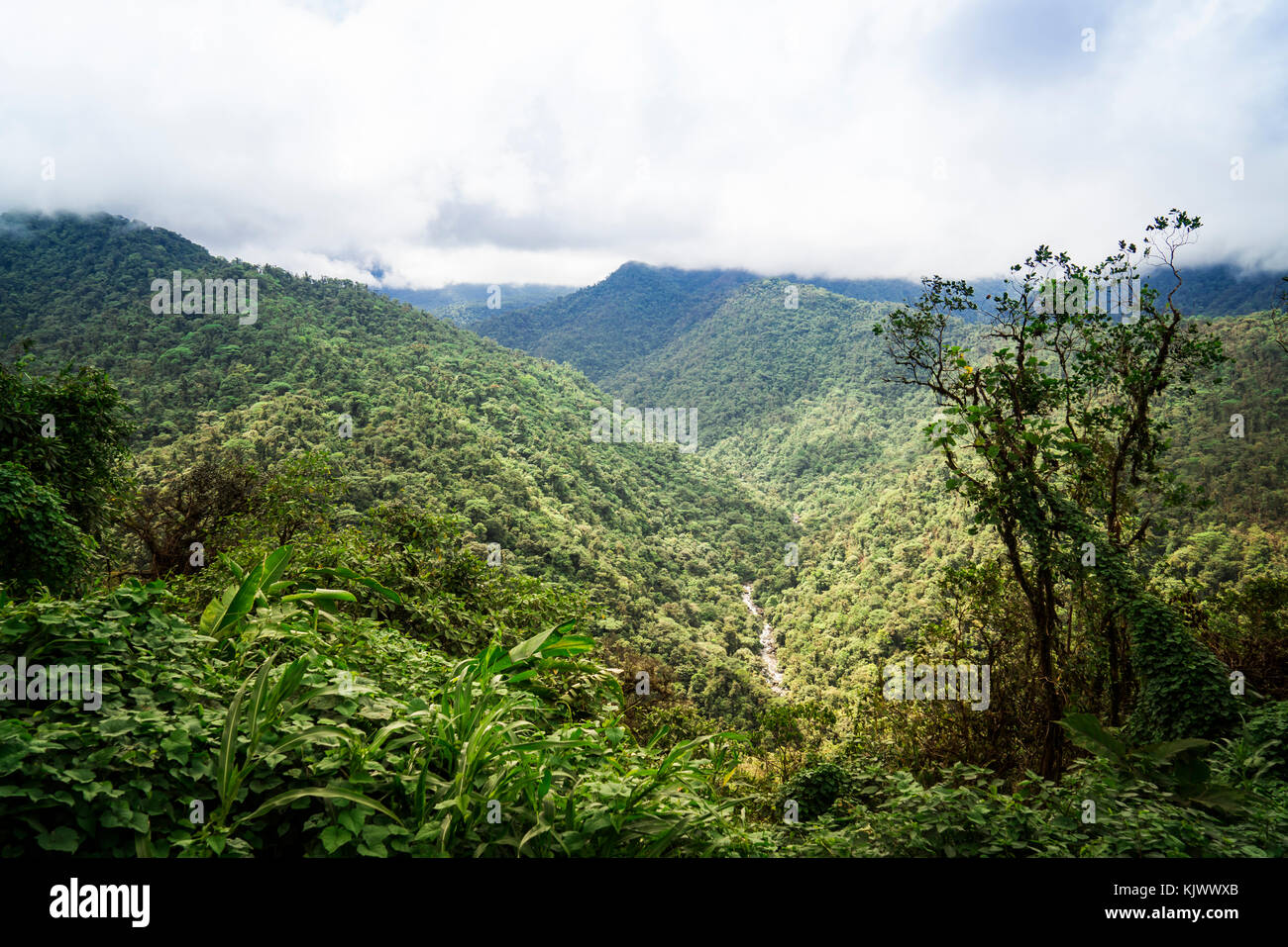 Braulio Carrillo National Park has very high mountains and deep valleys. The tropical rain forest covers everything. A River in the valley. Stock Photo
