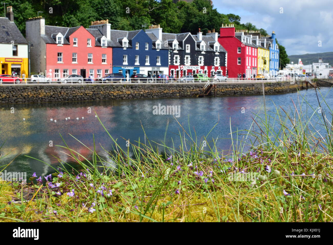 Delicate flowers and colourful cottages in Tobermory, Scotland Stock Photo