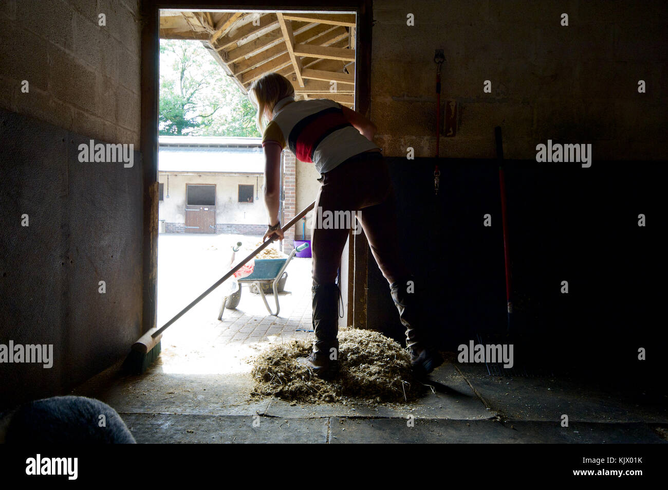 Mucking out stable hires stock photography and images Alamy