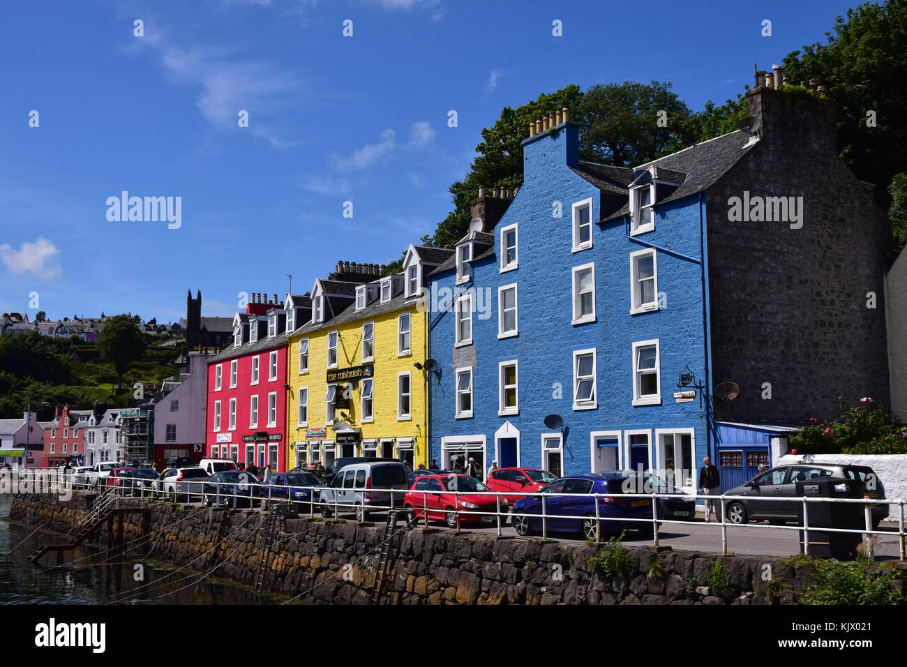 Delicate flowers and colourful cottages in Tobermory, Scotland Stock Photo