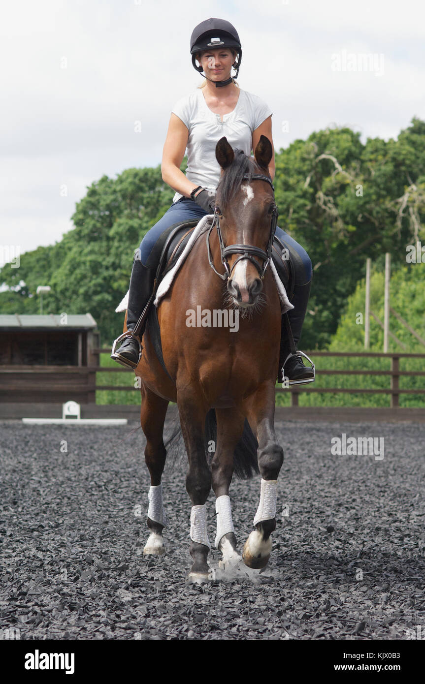 Young woman riding a horse, in show jumping ring, Moreton Equestrian Centre, Dorset UK Stock Photo