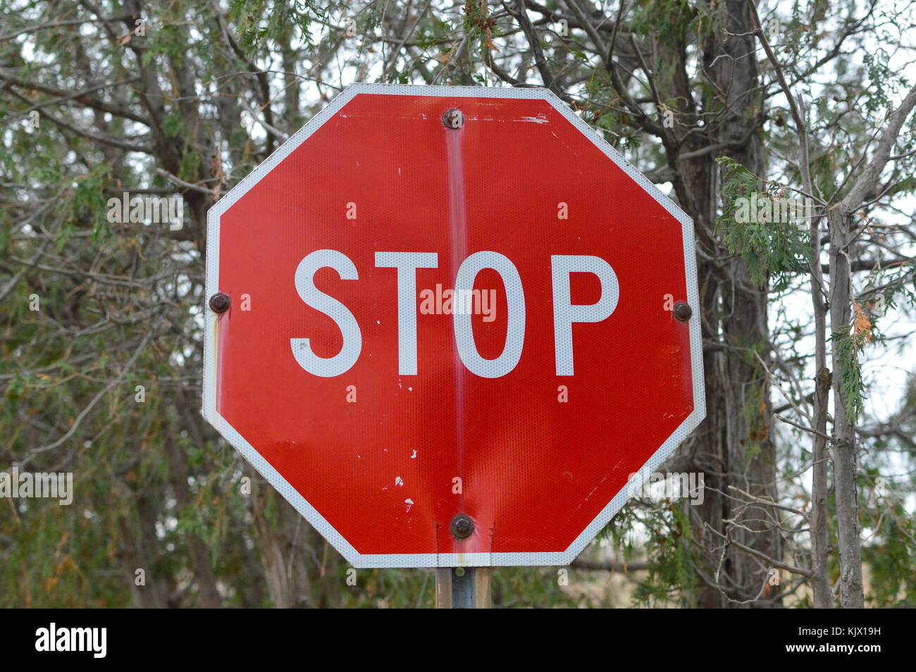The stop sign in the public park of Canada Stock Photo - Alamy
