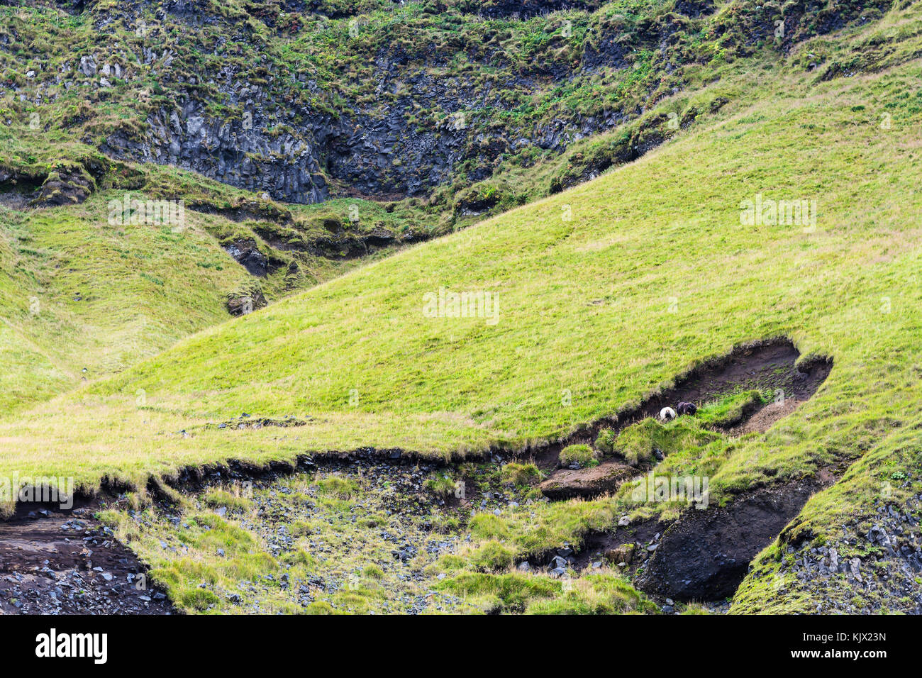 travel to Iceland - green slopes of Reynisfjall mount in Iceland over Reynisfjara Beach near Vik I Myrdal village on Atlantic South Coast in Katla Geo Stock Photo