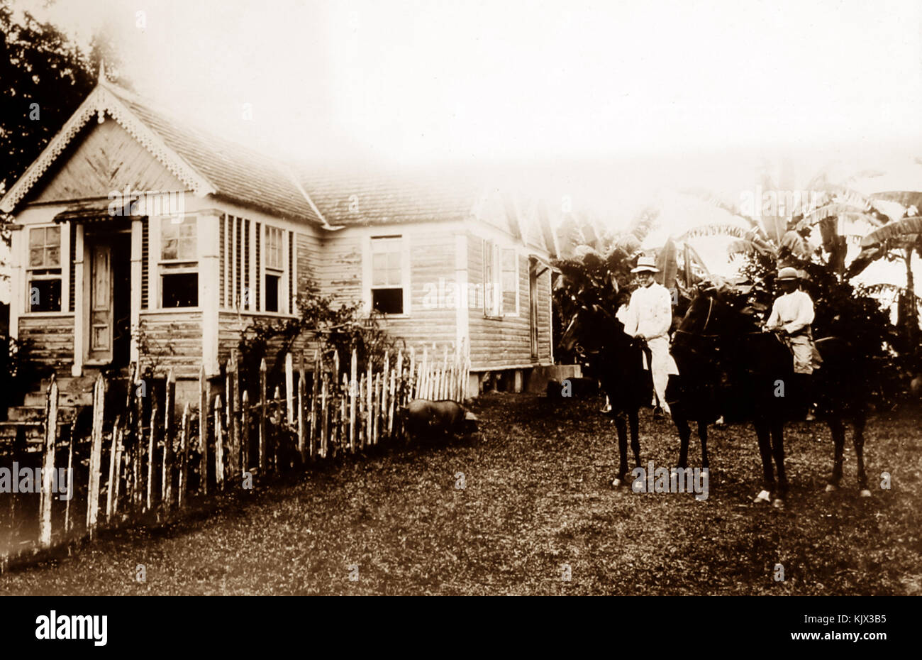 Settler's house, St Mary, Jamaica, early 1900s Stock Photo Alamy