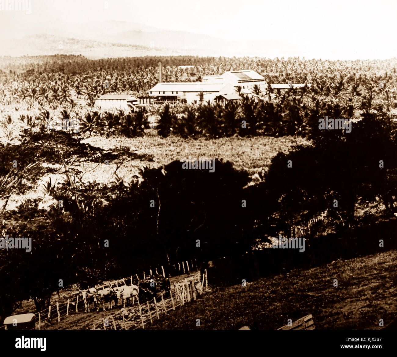 Sugar plantation jamaica hires stock photography and images Alamy