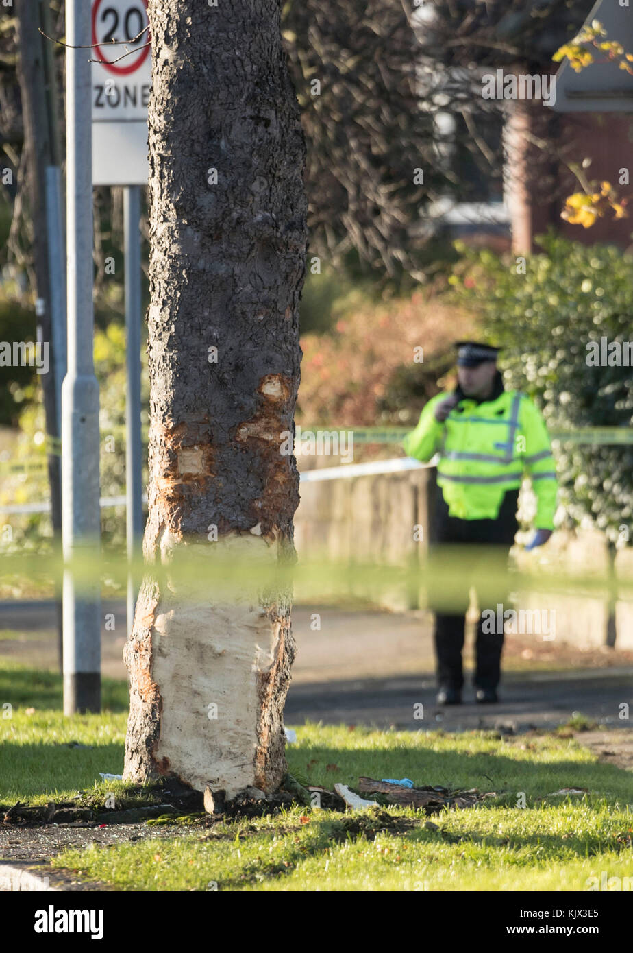 Police at the scene where a stolen car crashed into a tree (pictured