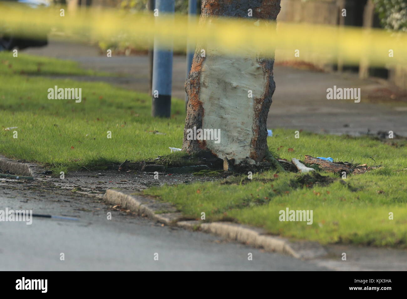 Debris at the scene where a stolen car crashed into a tree (pictured