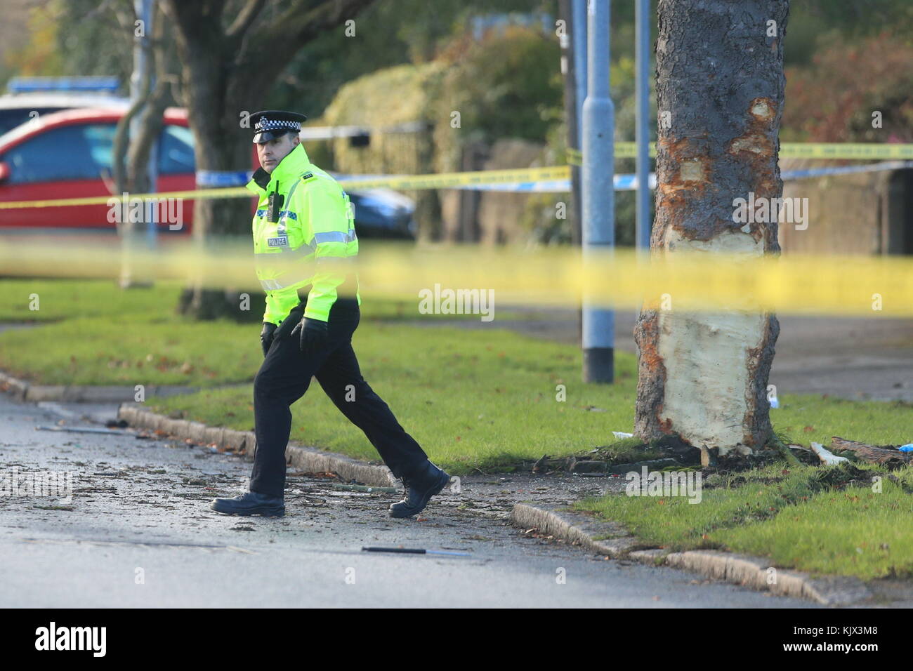 Police at the scene where a stolen car crashed into a tree (pictured