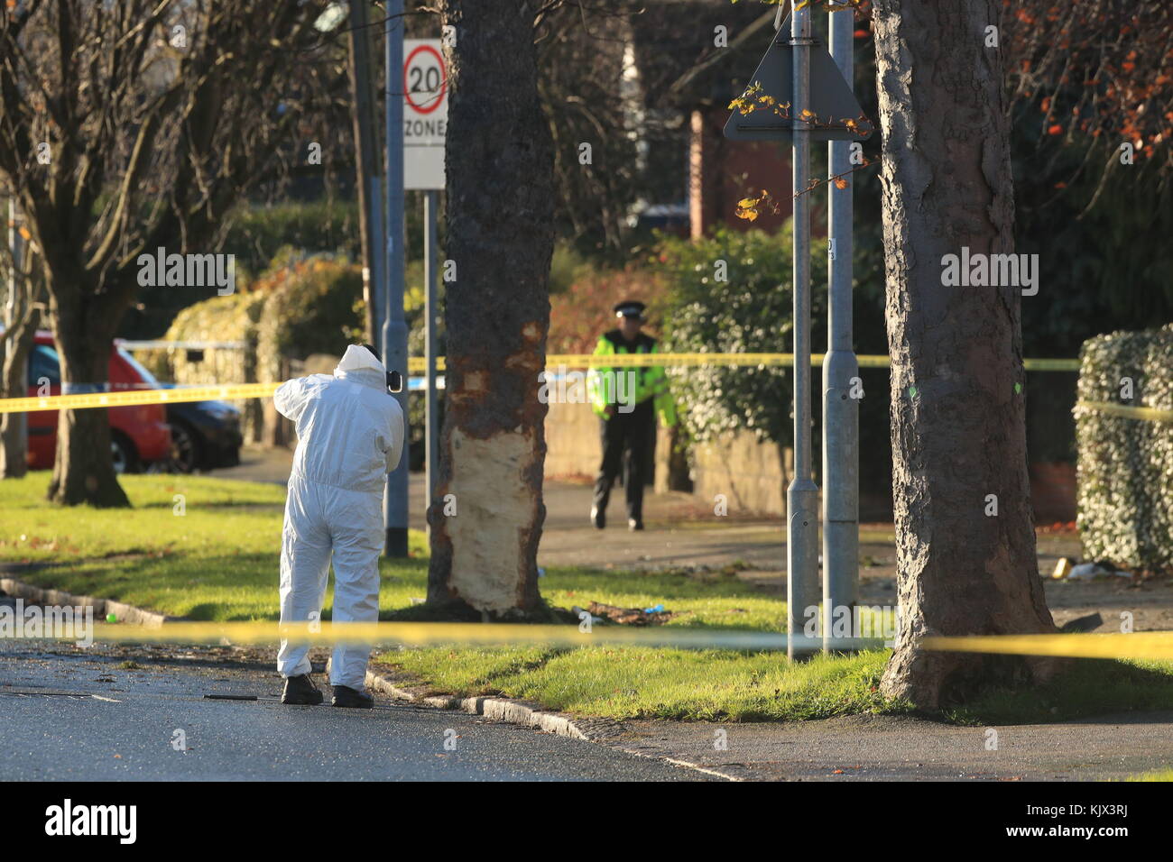 A forensic officer at the scene where a stolen car crashed into a tree