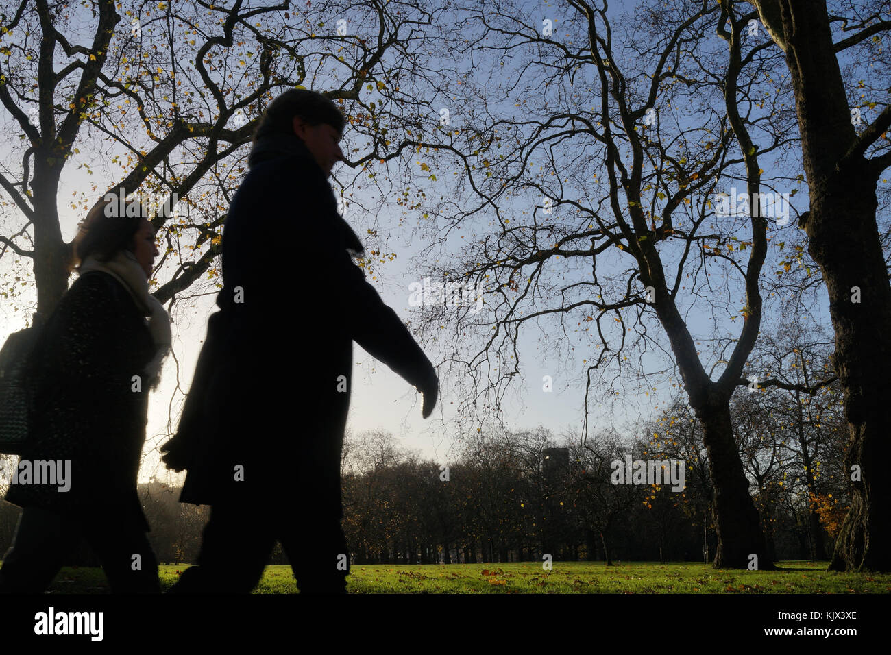 Walkers enjoy the late Autumn weather in Green Park, London, UK Stock Photo