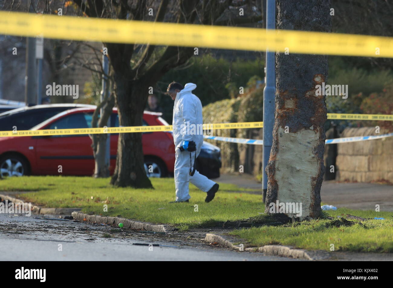 A forensic officer at the scene where a stolen car crashed into a tree