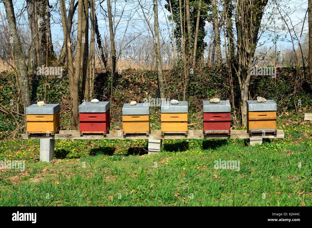 Colorful bee hives hi-res stock photography and images - Alamy