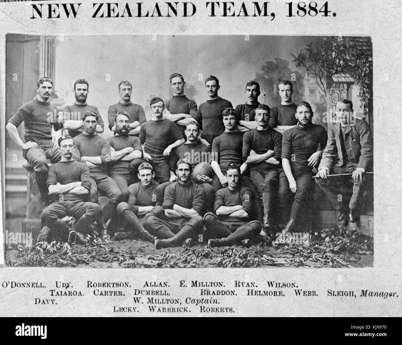 New Zealand in NSW 1884 Stock Photo Alamy