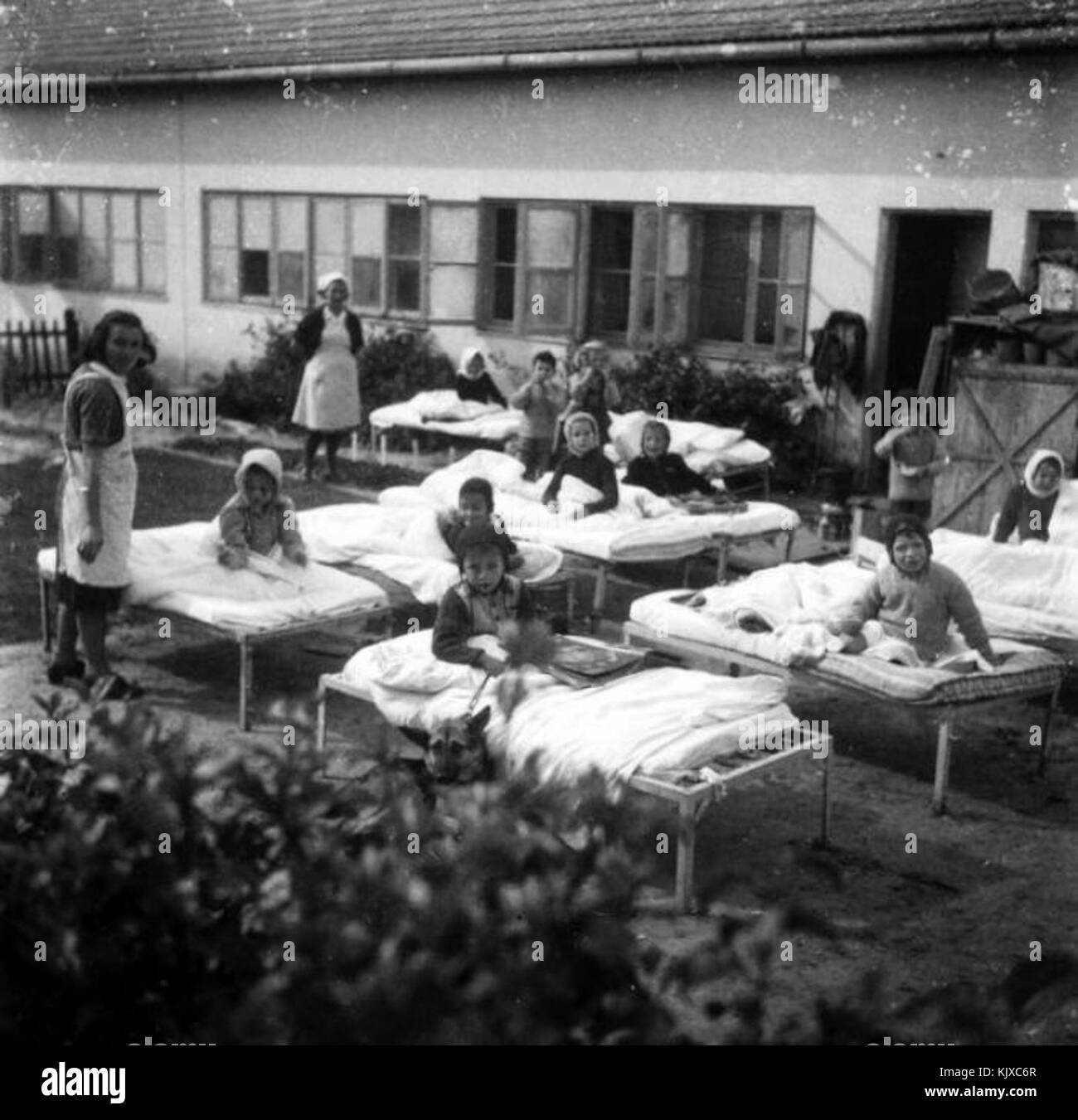 Israel 3197 Ein Hahoresh Stock Photo Alamy