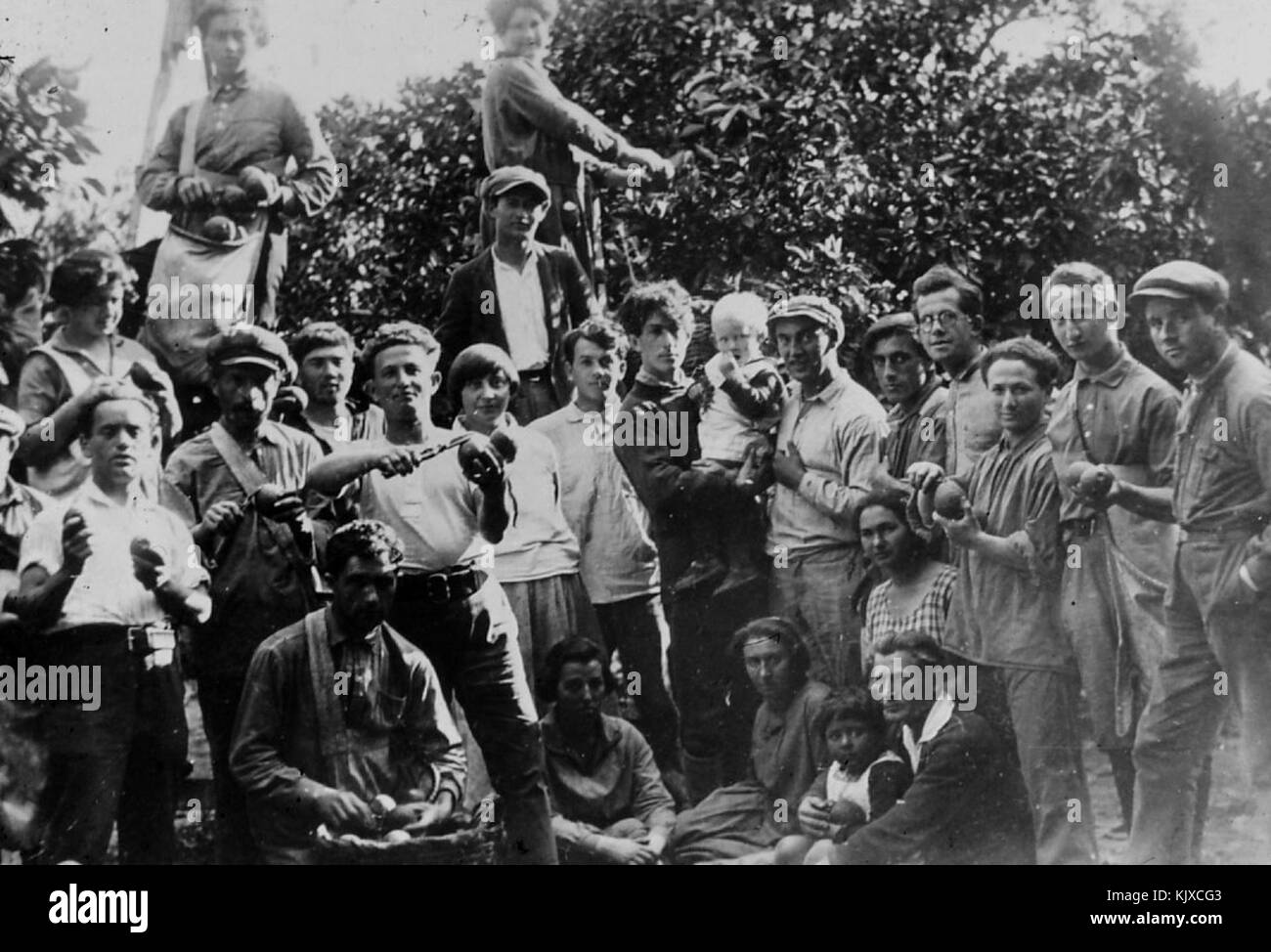 Israel 8406 Gan Samuel   in the orchard 1930 Stock Photo