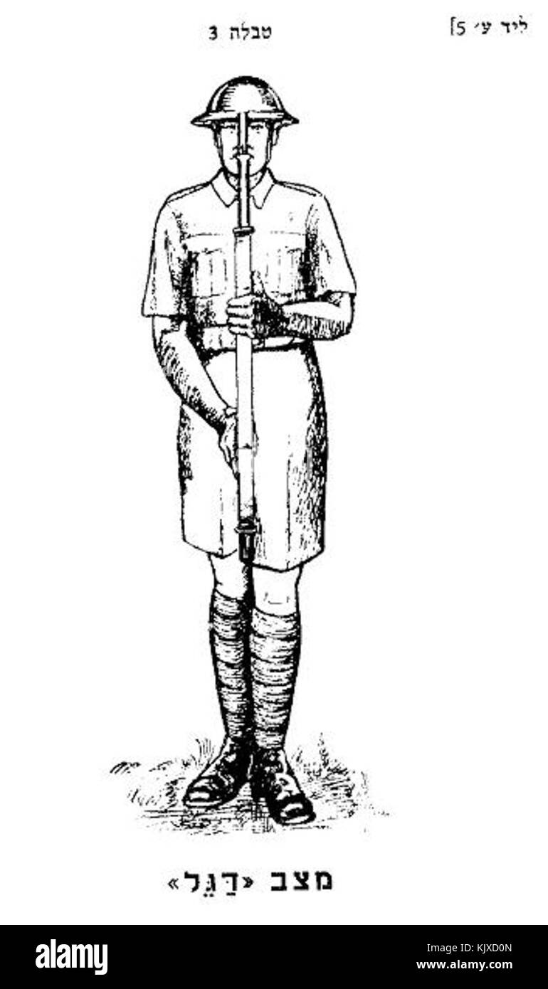 Squad drill with arms Present Arms Stock Photo Alamy