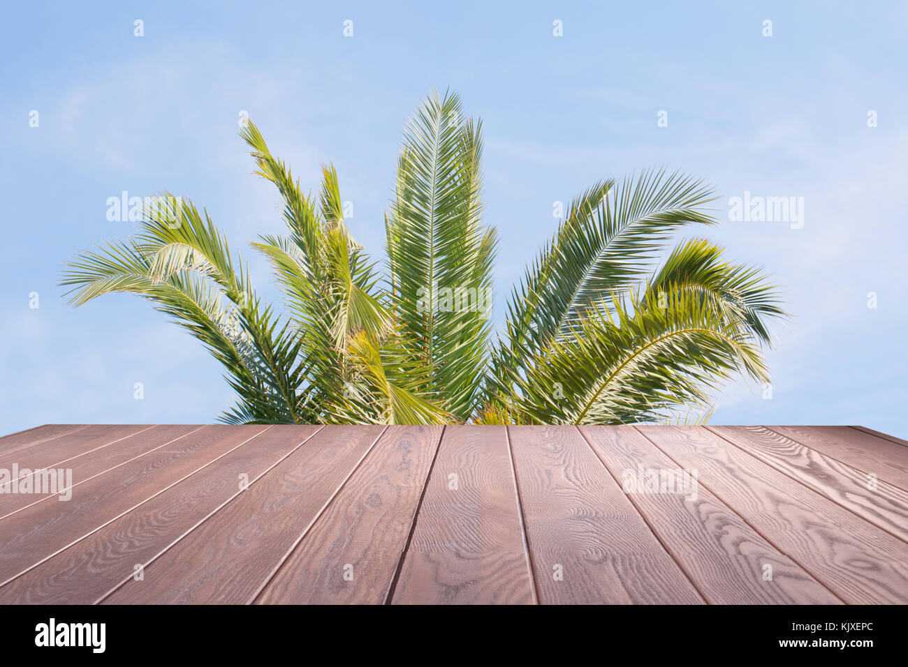 Empty wood table top with green leaves of palm tree on blue sky