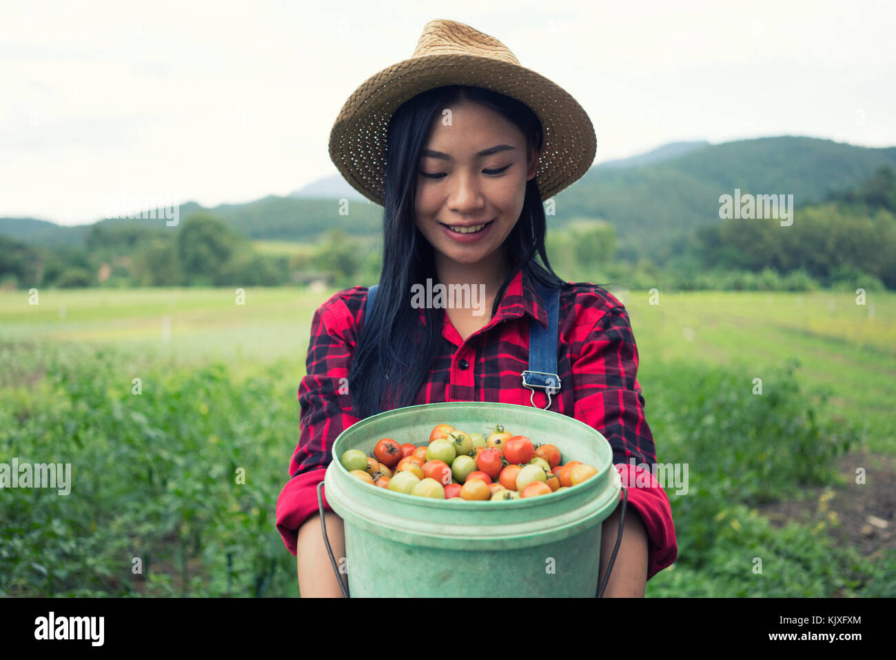 Smiling farmer posing in the tomato field Stock Photo