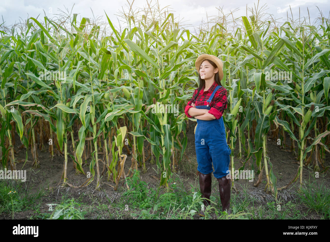 Happy farmer posing in the corn field Stock Photo - Alamy